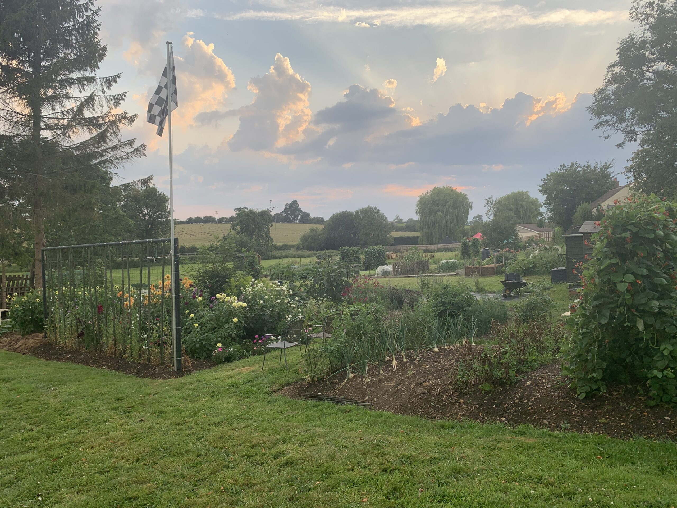 View of the allotments